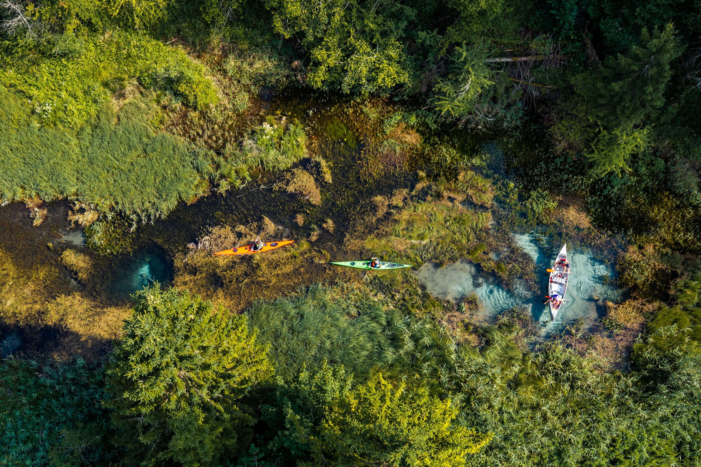 Kajaks und Kanu am Draupaddelweg in Kärnten, Drohnenaufnahme von oben über Schilf und Auwald